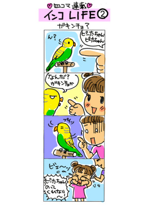 インコLIFE（第2回）